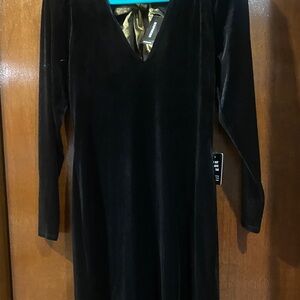 Express Black Velvet Long-Sleeve V-Neck Dress